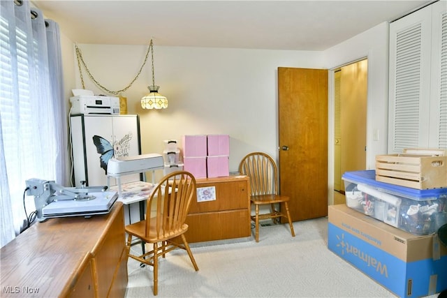172 Camrose Dr, Niles, OH 44446 - office featuring plenty of natural light