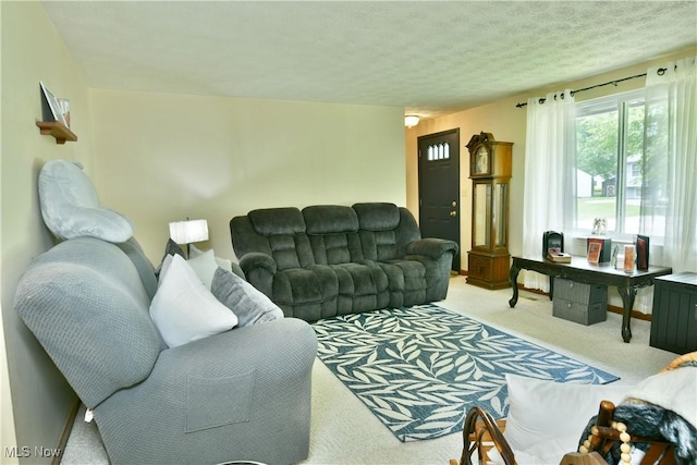 172 Camrose Dr, Niles, OH 44446 - living area with carpet and a textured ceiling