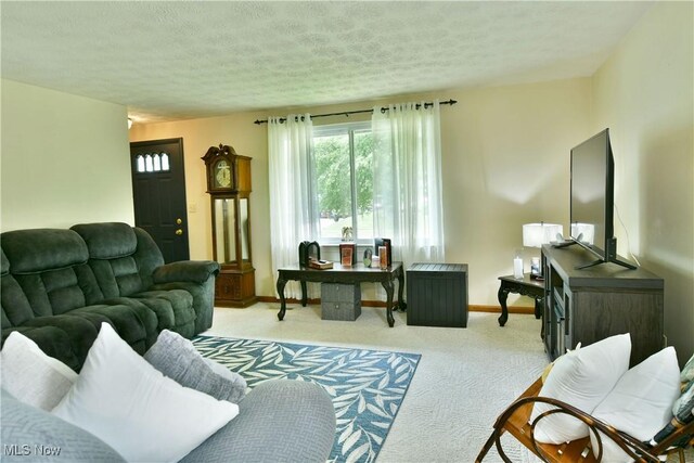 172 Camrose Dr, Niles, OH 44446 - living area featuring carpet, a textured ceiling, and baseboards