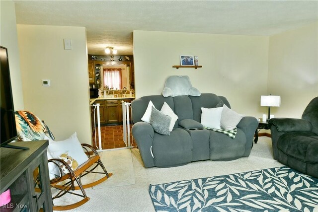 172 Camrose Dr, Niles, OH 44446 - living area featuring light carpet