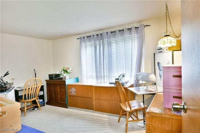 172 Camrose Dr, Niles, OH 44446 - view of office area