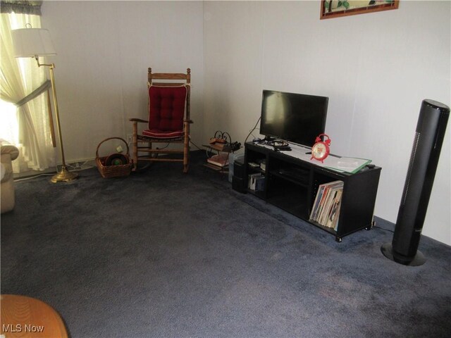 6796 Pymatuning Lake Rd, Andover, OH 44003 - photo 18