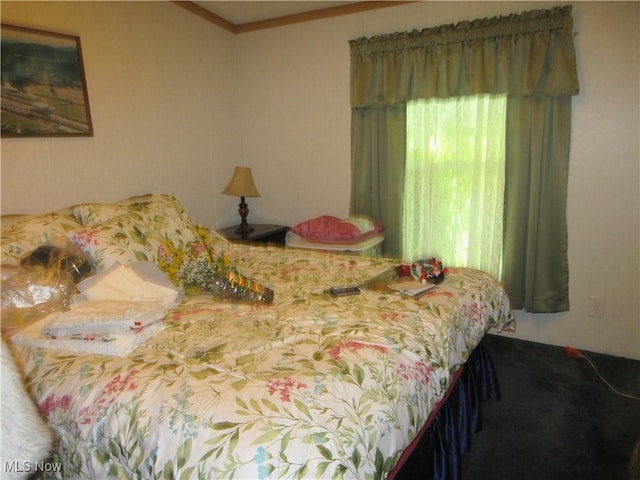 6796 Pymatuning Lake Rd, Andover, OH 44003 - photo 20
