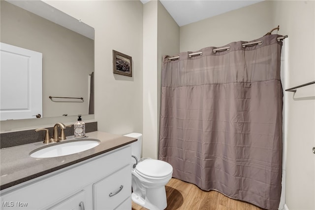 7834 Hunting Lake Dr, Concord, OH 44077 - full bathroom featuring toilet, vanity, wood finished floors, and curtained shower