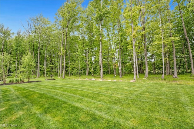 7834 Hunting Lake Dr, Concord, OH 44077 - view of grassy yard with a wooded view