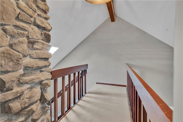 7773 Lutz Ave NW, Massillon, OH 44646 - stairs featuring a skylight and carpet floors