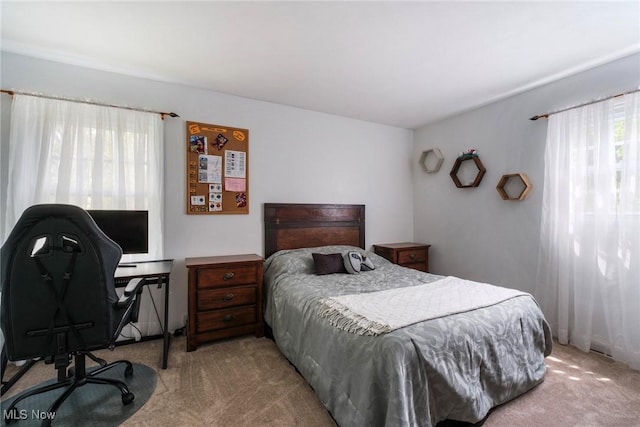 410 Hickory Hollow Dr, Canfield, OH 44406 - bedroom with carpet flooring and a desk