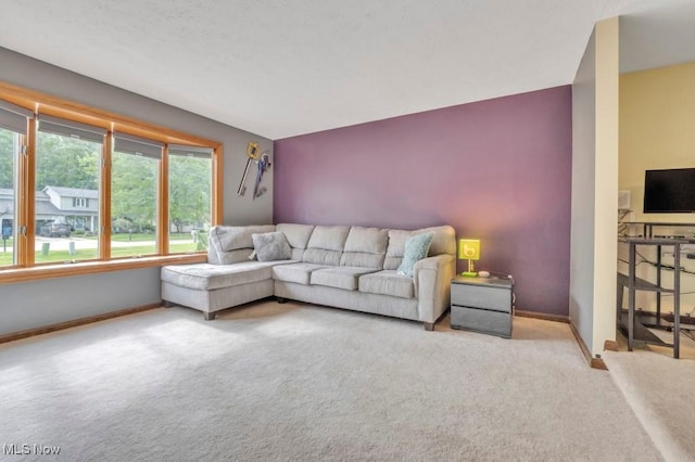 4700 Washington Ave, Lorain, OH 44052 - living room featuring carpet flooring and baseboards