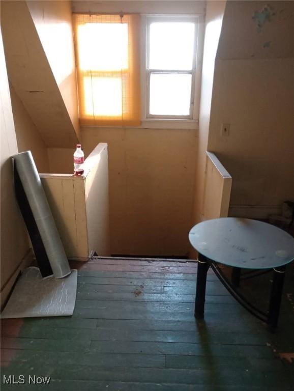 424 Elm St, Martins Ferry, OH 43935 - bathroom with wood-type flooring