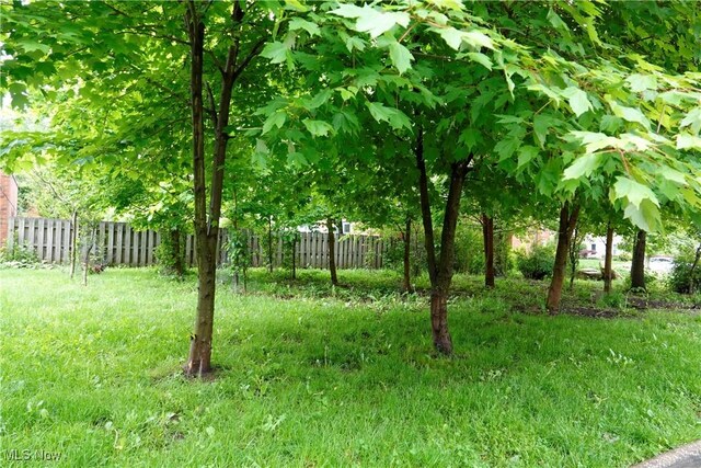 2323 Miramar Blvd, University Heights, OH 44118 - view of yard