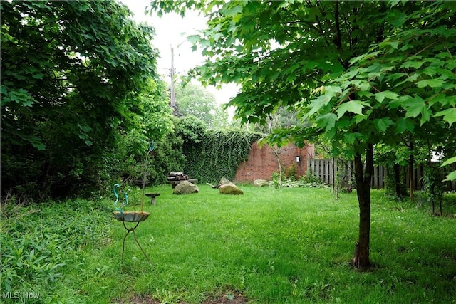 2323 Miramar Blvd, University Heights, OH 44118 - view of yard