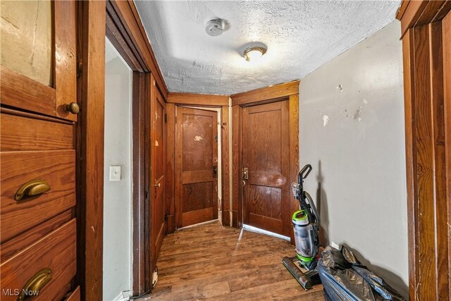 1197 Carey Ave, Akron, OH 44314 - hallway with wood finished floors and a textured ceiling