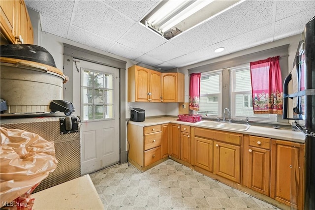1197 Carey Ave, Akron, OH 44314 - kitchen with a sink, a drop ceiling, light floors, plenty of natural light, and light countertops