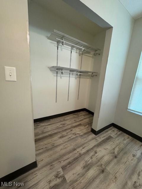 319 Sterling Ct, Akron, OH 44304 - view of closet