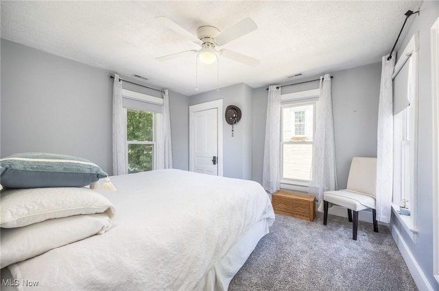 201 E Spring St, Marietta, OH 45750 - bedroom with carpet floors, multiple windows, ceiling fan, a textured ceiling, and baseboards