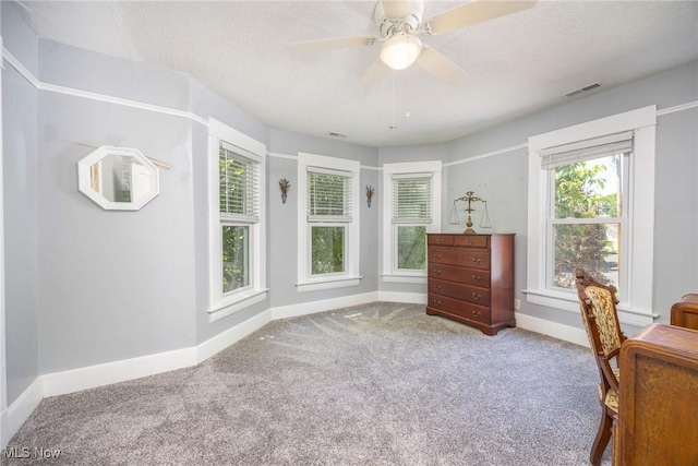 201 E Spring St, Marietta, OH 45750 - carpeted office with baseboards, ceiling fan, and a textured ceiling