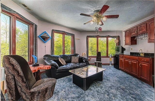 6419 S Rim Cir, Valley City, OH 44280 - living room with a textured ceiling, healthy amount of natural light, ceiling fan, and dark colored carpet
