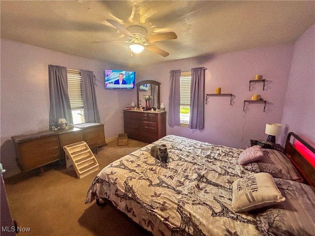 76 Parkgate Ave, Youngstown, OH 44515 - carpeted bedroom with ceiling fan