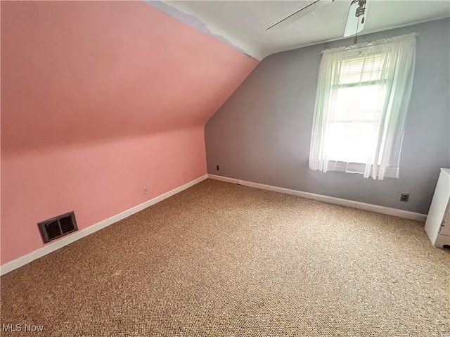 76 Parkgate Ave, Youngstown, OH 44515 - additional living space featuring vaulted ceiling and carpet floors