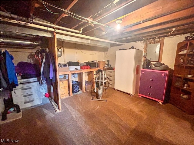 76 Parkgate Ave, Youngstown, OH 44515 - unfinished below grade area with freestanding refrigerator, electric panel, and carpet floors