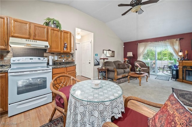 6610 Lear Nagle Rd Unit 26, North Ridgeville, OH 44039 - kitchen with under cabinet range hood, electric stove, lofted ceiling, ceiling fan, and open floor plan