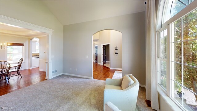 3130 Hollybrook Ln, Mogadore, OH 44260 - sitting room featuring arched walkways, carpet flooring, wood finished floors, baseboards, and high vaulted ceiling