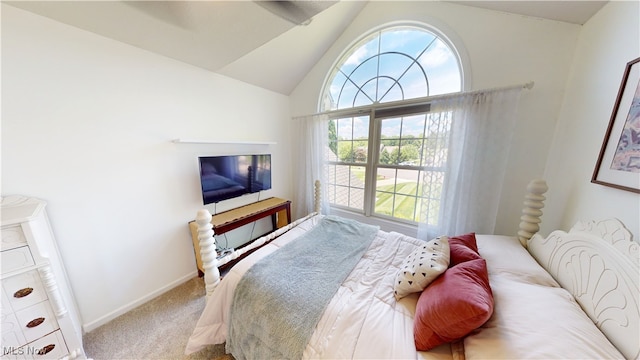 3130 Hollybrook Ln, Mogadore, OH 44260 - carpeted bedroom with lofted ceiling and baseboards