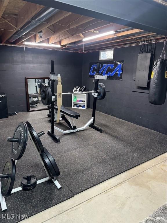 3130 Hollybrook Ln, Mogadore, OH 44260 - workout area featuring electric panel