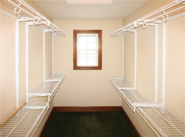 5280 Kapok Dr, Medina, OH 44256 - view of spacious closet