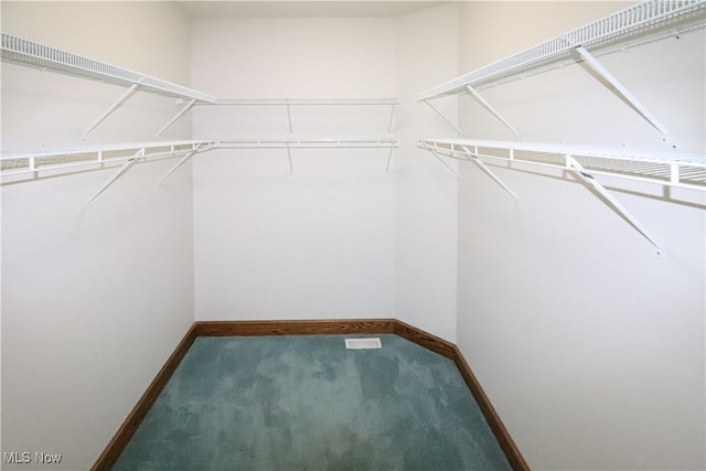 5280 Kapok Dr, Medina, OH 44256 - walk in closet featuring carpet flooring
