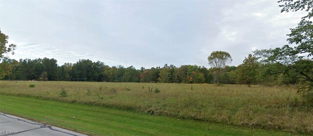 LotC Little Mountain Road, Kirtland Hills, OH 44060 - photo 9