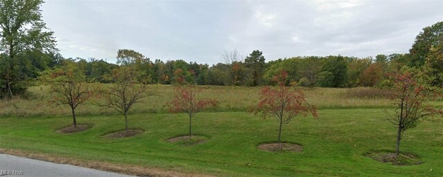 LotC Little Mountain Road, Kirtland Hills, OH 44060 - photo 10