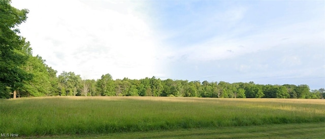 LotC Little Mountain Road, Kirtland Hills, OH 44060 - photo 1