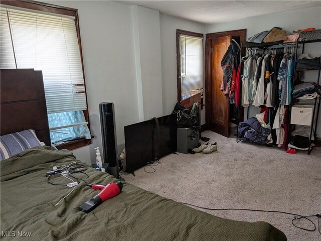 369 Montrose Ave, Akron, OH 44310 - bedroom featuring carpet and a closet