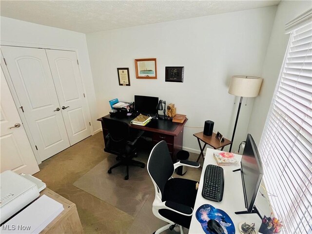 6531 Bayside Dr, Madison, OH 44057 - photo 10