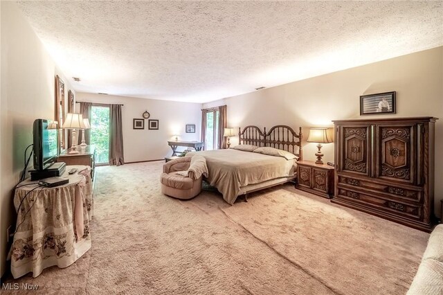 10576 Hemlock Ridge Dr, Chardon, OH 44024 - bedroom featuring light carpet and a textured ceiling