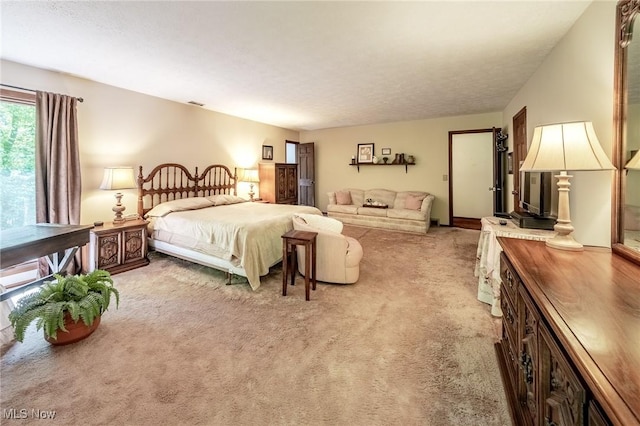 10576 Hemlock Ridge Dr, Chardon, OH 44024 - bedroom featuring light colored carpet
