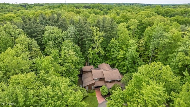 10576 Hemlock Ridge Dr, Chardon, OH 44024 - aerial view of property and surrounding area featuring a forest