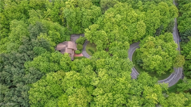 10576 Hemlock Ridge Dr, Chardon, OH 44024 - bird's eye view