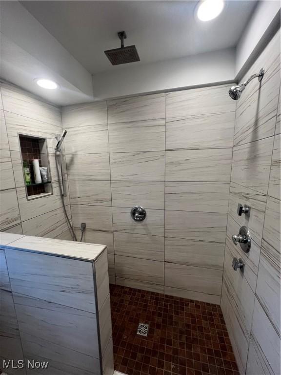 26938 County Rd 1, Coshocton, OH 43812 - bathroom with tiled shower