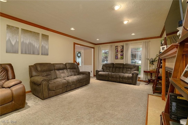 20686 Wildwood Ln, Strongsville, OH 44149 - carpeted living area with crown molding, recessed lighting, and a textured ceiling