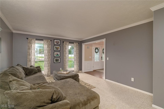 20686 Wildwood Ln, Strongsville, OH 44149 - living room featuring crown molding, light colored carpet, a textured ceiling, and baseboards