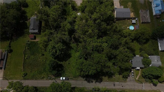 TBD Ellsworth Rd, Wintersville, OH 43952 - photo 3