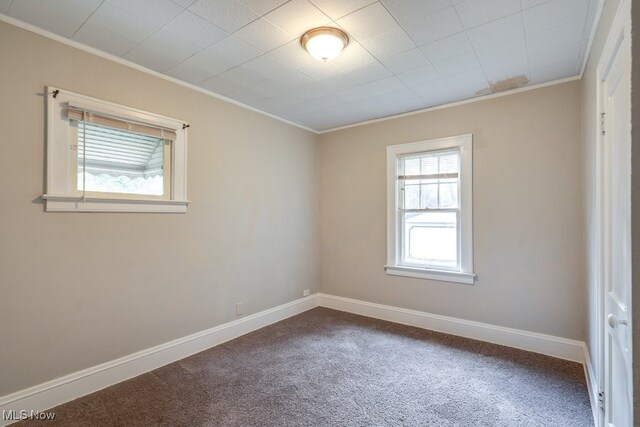 892 Montford Rd, Cleveland, OH 44121 - photo 16