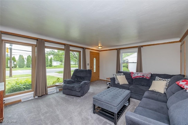 6351 W 130th St, Parma Heights, OH 44130 - living area with carpet flooring