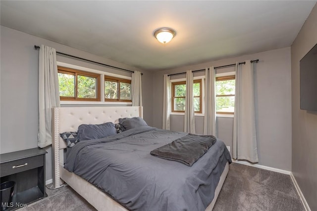 6351 W 130th St, Parma Heights, OH 44130 - bedroom featuring baseboards, carpet floors, and multiple windows