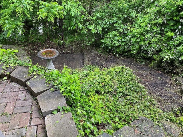 7121 Fable SW, Sherrodsville, OH 44675 - view of yard featuring a garden
