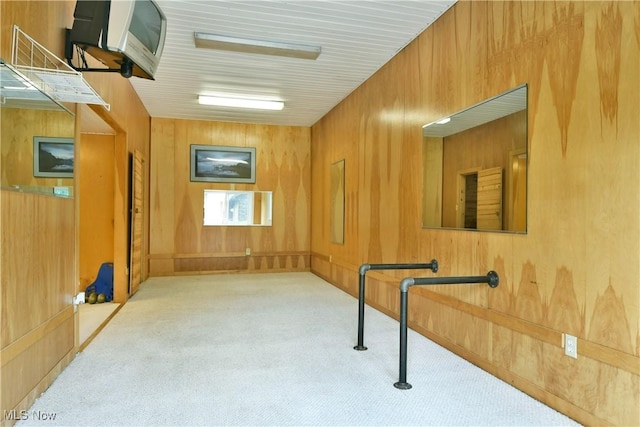 2942 Barclay Messerly Rd, Southington, OH 44470 - hall with carpet floors and wood walls
