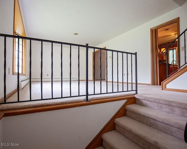 433 University Ave, Elyria, OH 44035 - stairway with carpet flooring