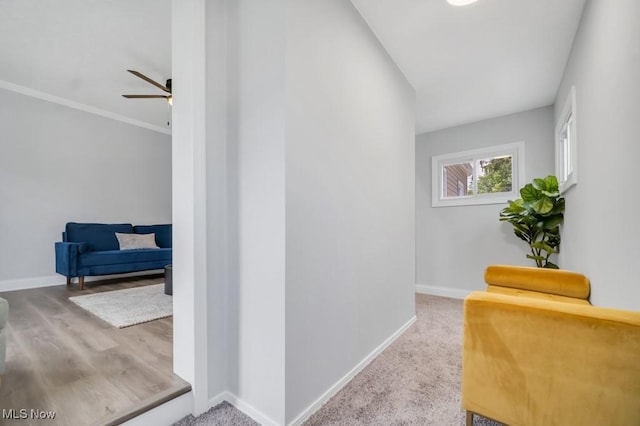 2186 Jackson Blvd, University Heights, OH 44118 - corridor with baseboards and ornamental molding